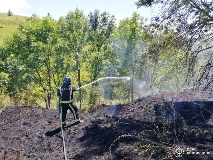 За добу на Вінниччині зафіксували рекордну кількість пожеж