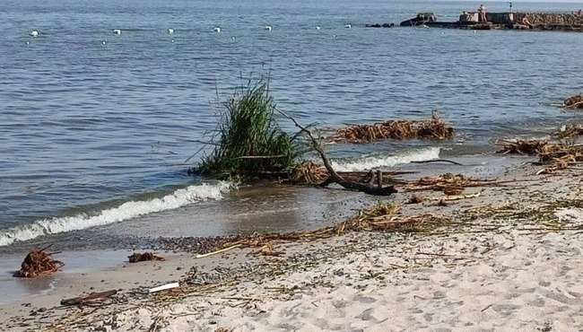 За спробу нелегального перетину кордону в Молдову затримали вінничанина