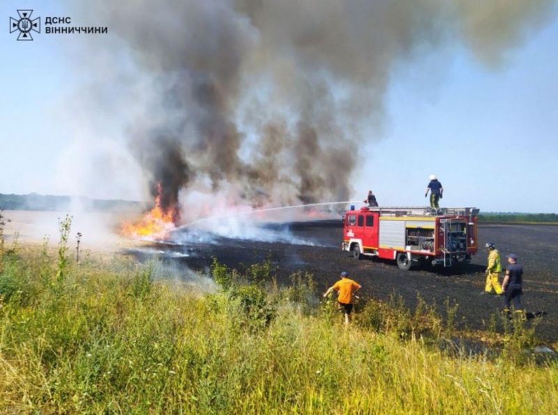 Гектари пшениці знищила пожежа на Вінниччині