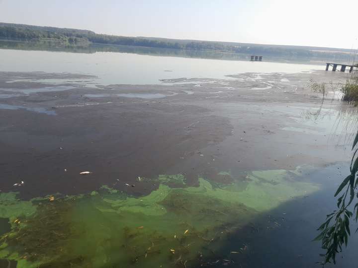 Скандал за скандалом: Міська влада Ладижина закриває очі на смертельну небезпеку у воді!