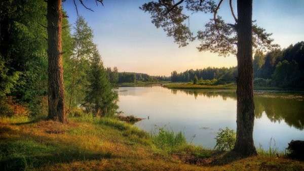 На Вінниччині створять новий ландшафтний заказник