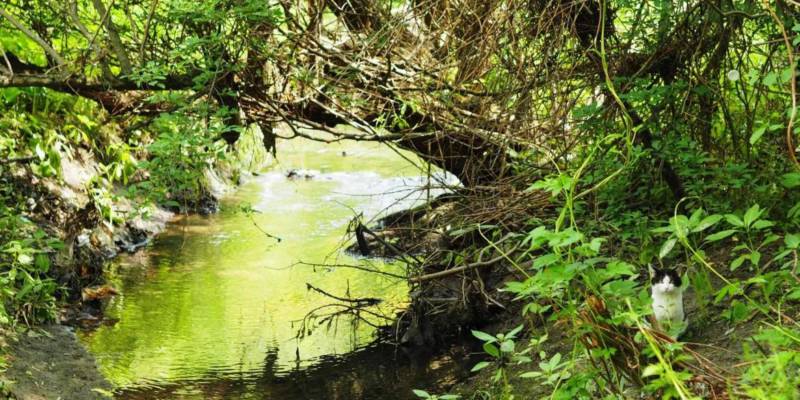 Головний архітектор Вінниці запрошує містян на зустріч