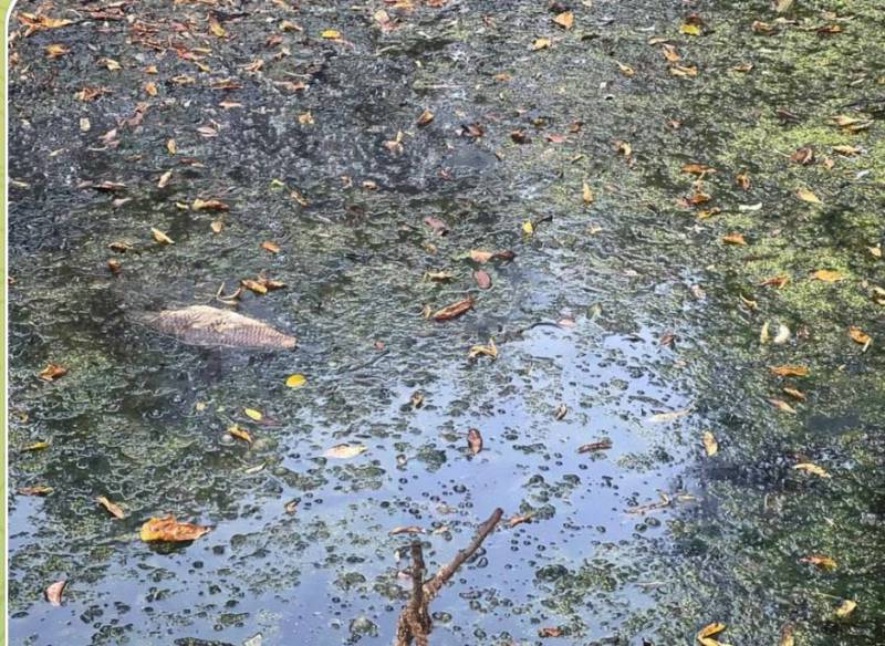 У Гайсині підприємство підозрюють у скиданні гарячої води в Сіб