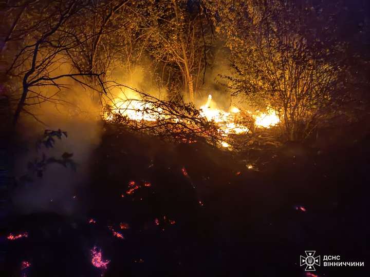 На Вінниччині за добу рятувальники загасили 35 пожеж