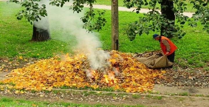 У Вінниці розпочали працювати мобільні групи з протидії спалювання сухого листя