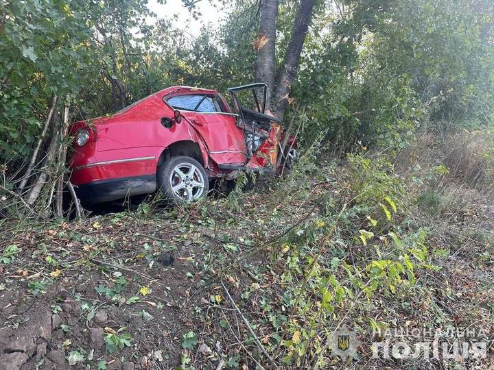 Водій та пасажирка загинули у ДТП біля Бершаді