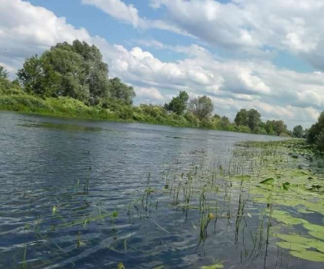 Повторне забруднення рухається руслом річки Сейм – Міндовкілля