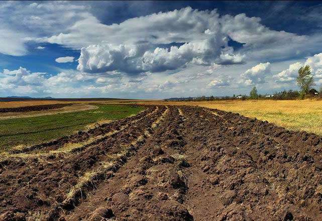 В Україні суттєво подорожчає земля