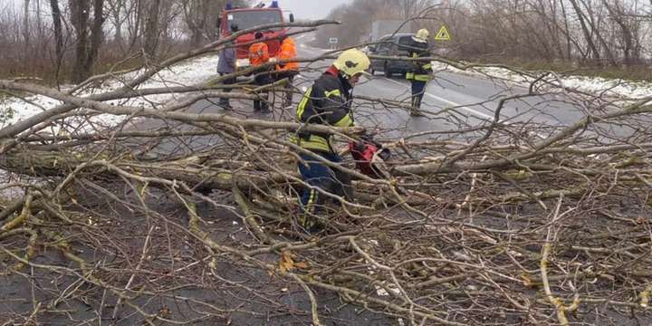 Рятувальники на Вінниччині прибирали з доріг повалені вітром дерева