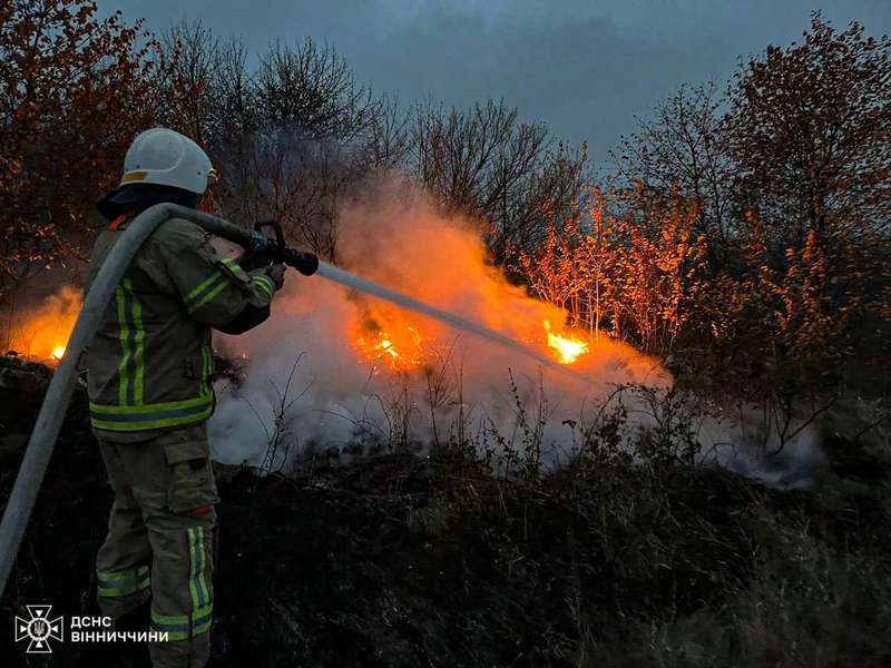 Рятувальники за добу ліквідували 10 пожеж




														Вогнеборці Вінниччини за добу 10 разів виїжджали на ліквідацію пожеж у приватних будинках та полях.