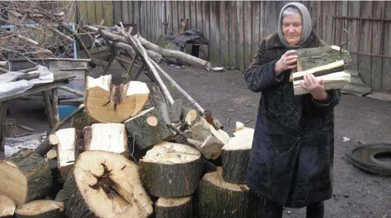 Скандальний закон про дрова Зеленський не підпише?