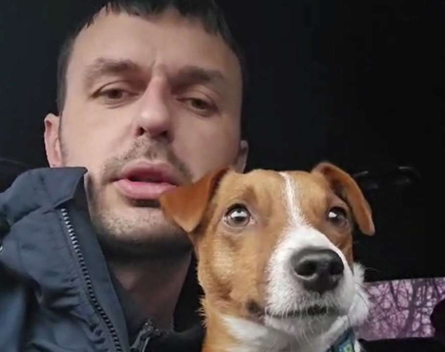 Пес Патрон живий та здоровий, успішно виконує завдання