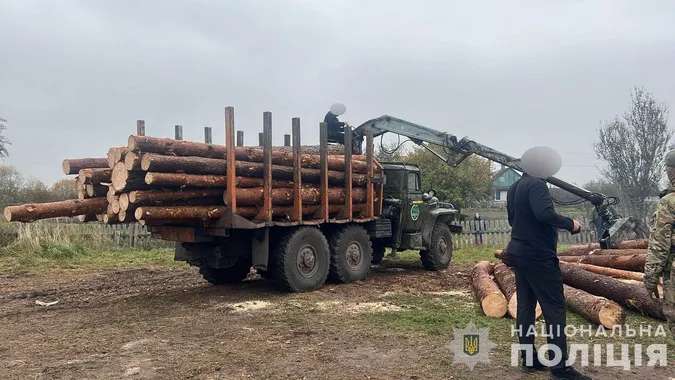 Лісівники незаконно збагатились на 800 тисяч гривень