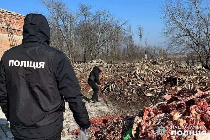 Замість утилізації – скотомогильники