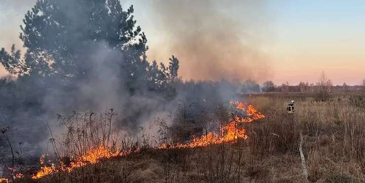 15 пожеж за добу гасили на Вінниччині
