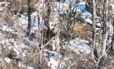 Російський солдат привʼязує свого колегу до дерева. А сам втікає