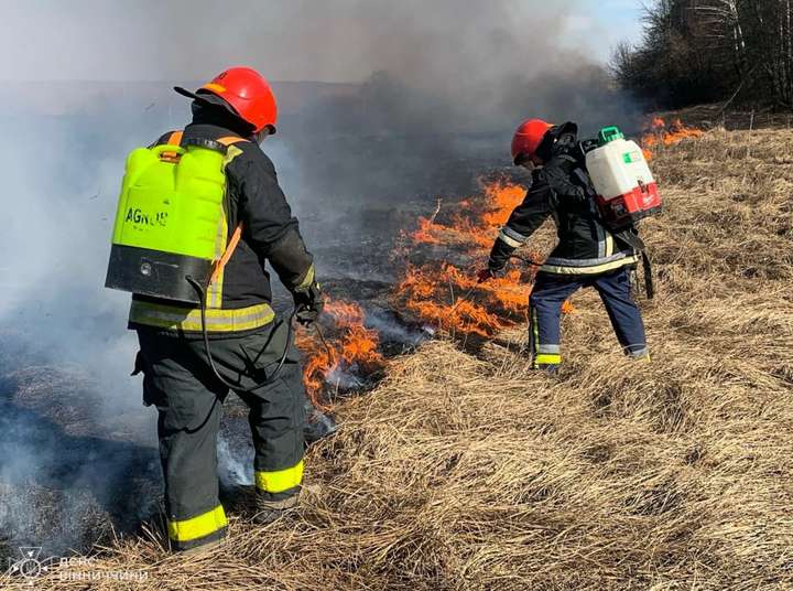 За добу на Вінниччині ліквідували 81 пожежу на відкритих територіях
