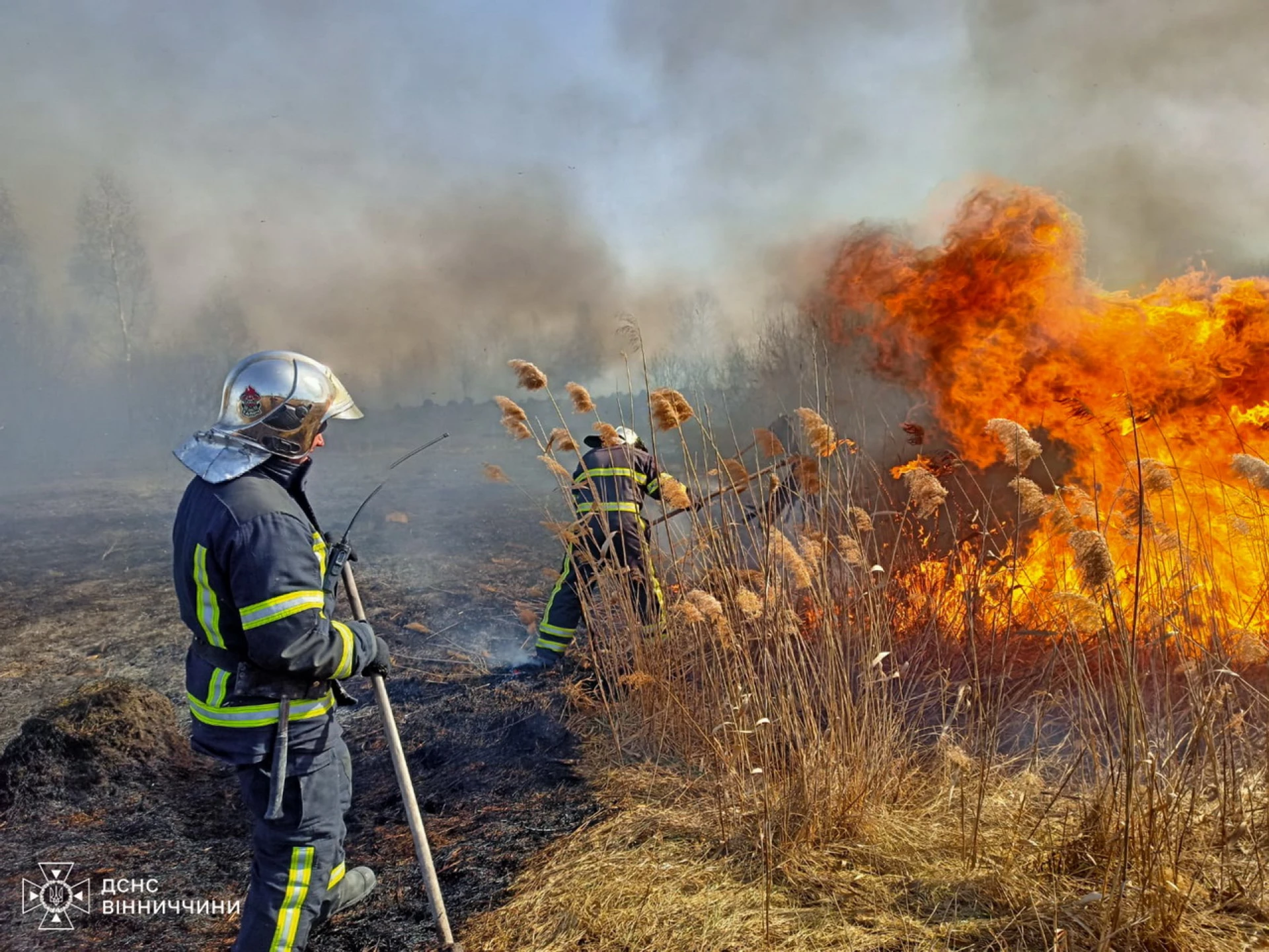 Вогонь сягав 5 метрів і сунув на Чорний ліс