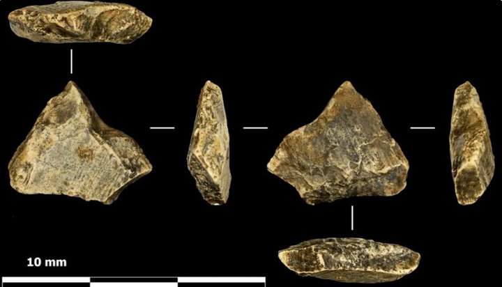 На Хмельниччині виявили найдавніші сліди обробки кісток мамонта