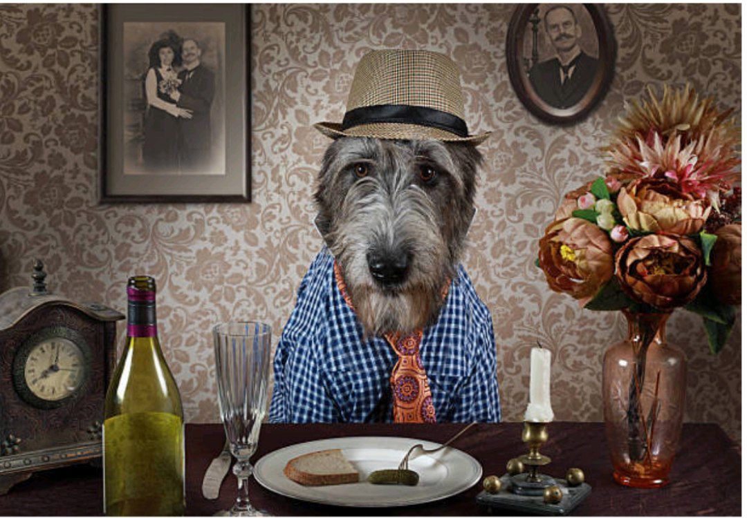 Сказ від собаки та зеленого змія. Що спільного? 