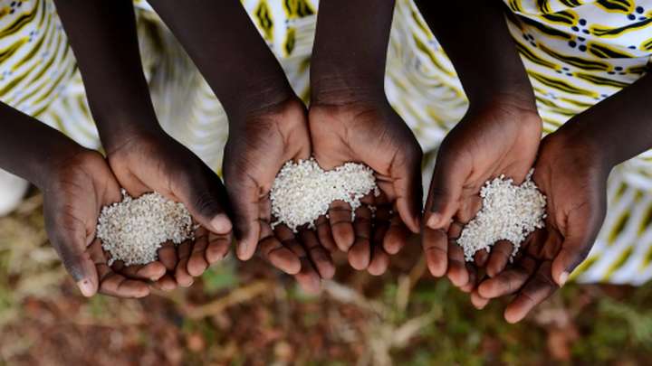 В ООН заявили про рекордний глобальний голод у 2024