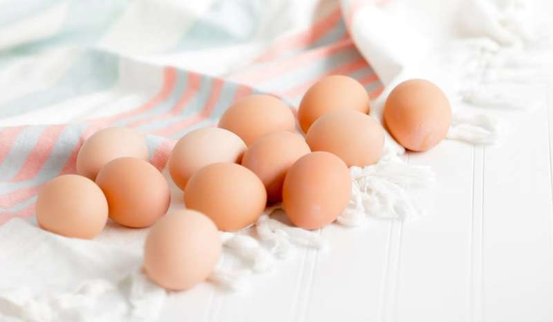 Яйця – дуже корисний продукт для нашого здоров’я