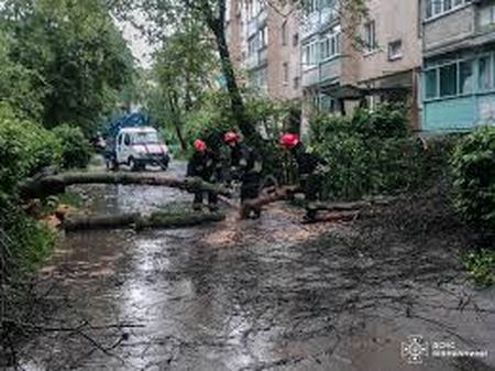 Вітер на Вінниччині повалив на дороги дерева