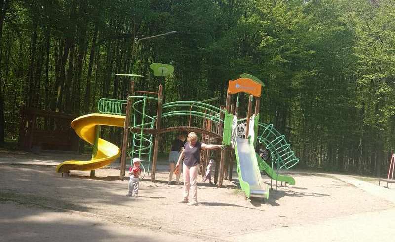 На зарядку — до Лісопарку