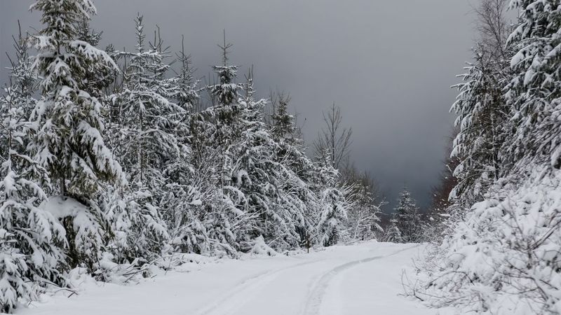 Карпати засипало снігом: на туристів чатує небезпека