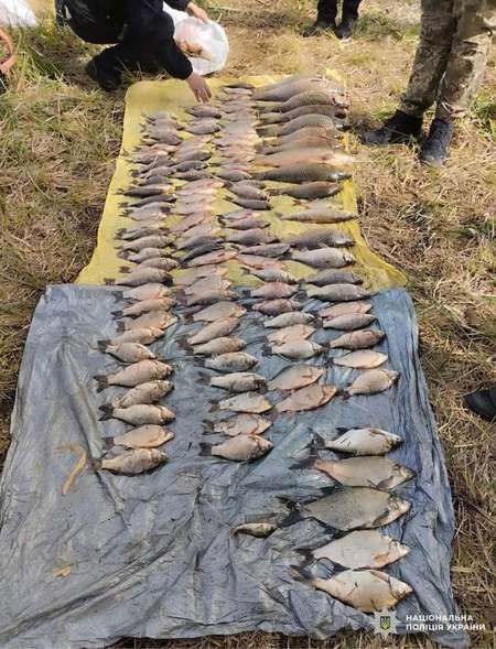 Рибалили сітками під час нересту