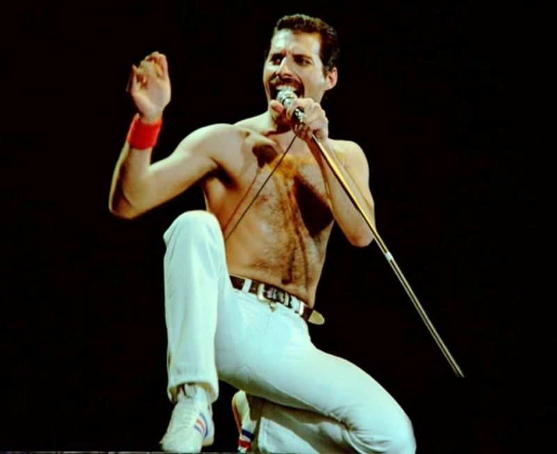 У новій біографії Мерк’юрі з’явилася його ймовірна таємна дитина. Хоча він був геєм