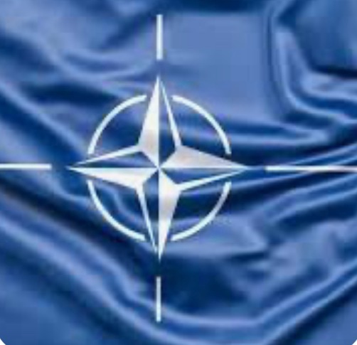 Міністр оборони Нідерландів підтвердив участь Зеленського в саміті НАТО в Гаазі