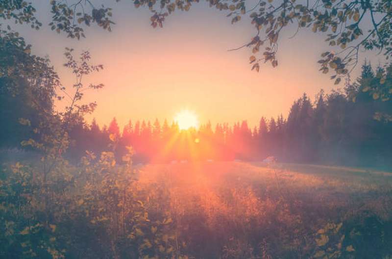 21 червня – день літнього сонцестояння-2025