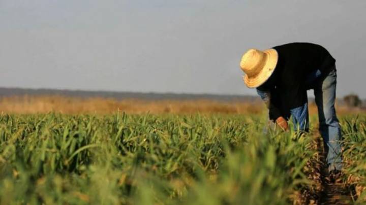 Порушення майнових прав селян