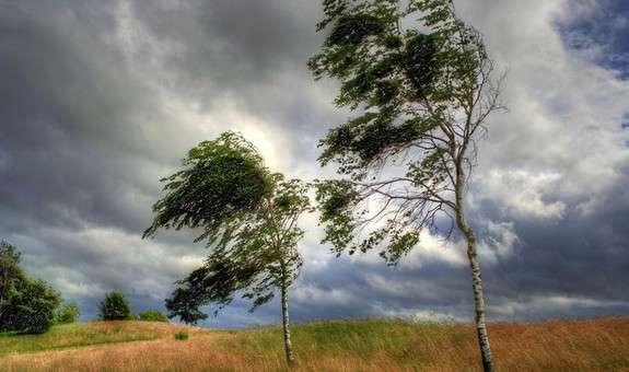 На Вінниччині не вщухає штормовий вітер