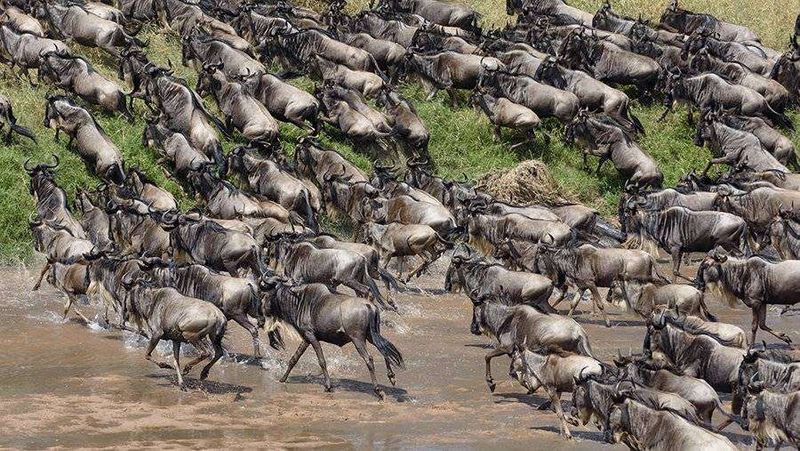 Все живе на Землі зароджується у біоядрах