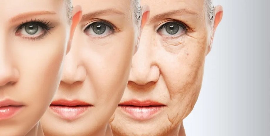 Є два піки старіння в житті людини