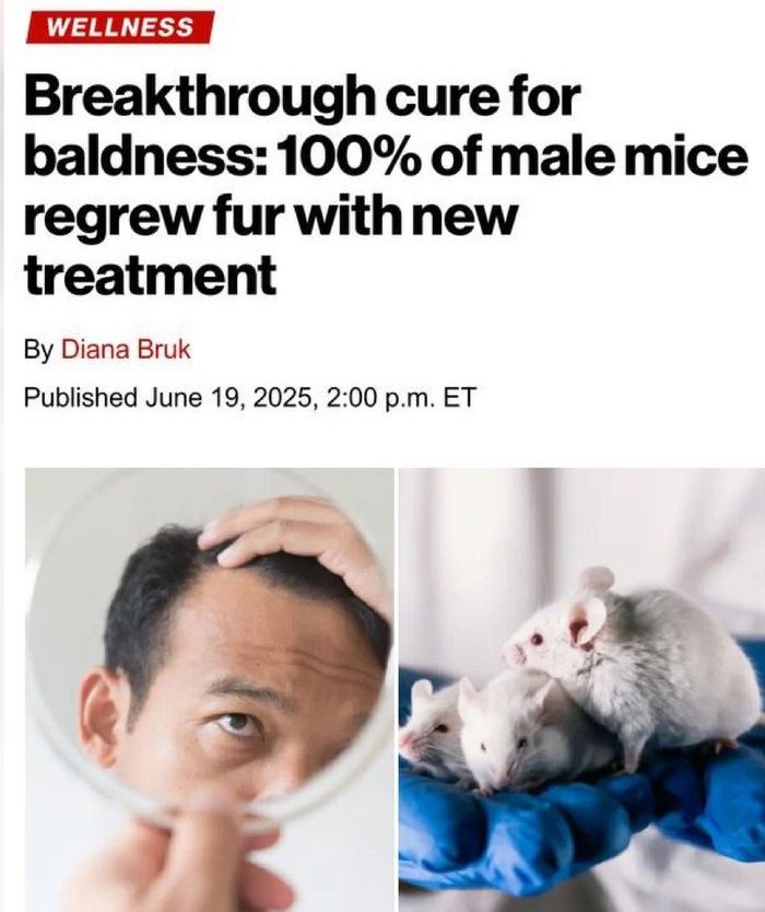 Облисіння переможено