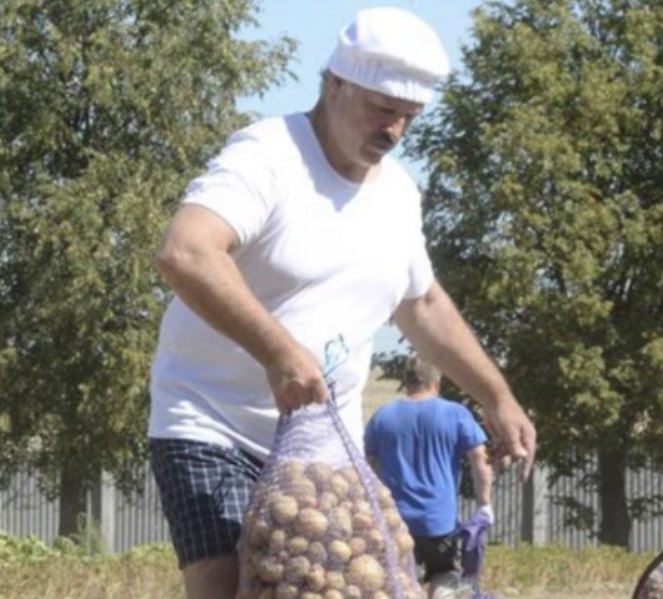 У Білорусі настала картопляна криза