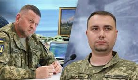 Залужний та Буданов знову лідери суспільної довіри, – опитування SOCIS