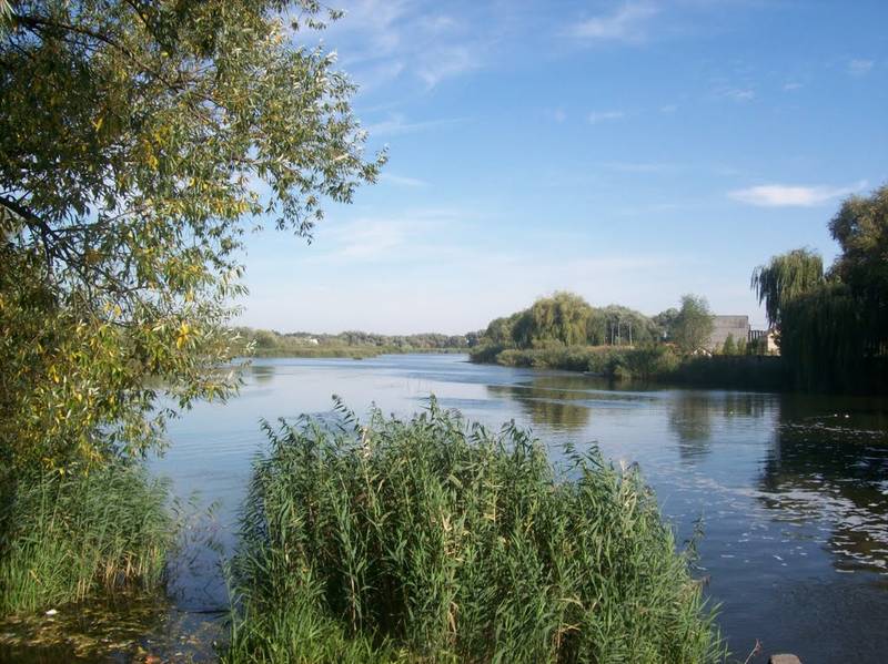 З водойми дістали тіло молодого вінничанина