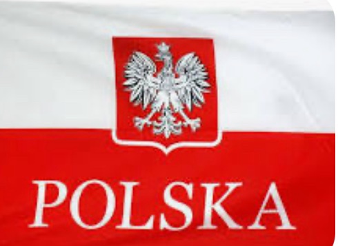 Серед партій Польщі найбільше зросла підтримка антиукраїнської “Конфедерації”