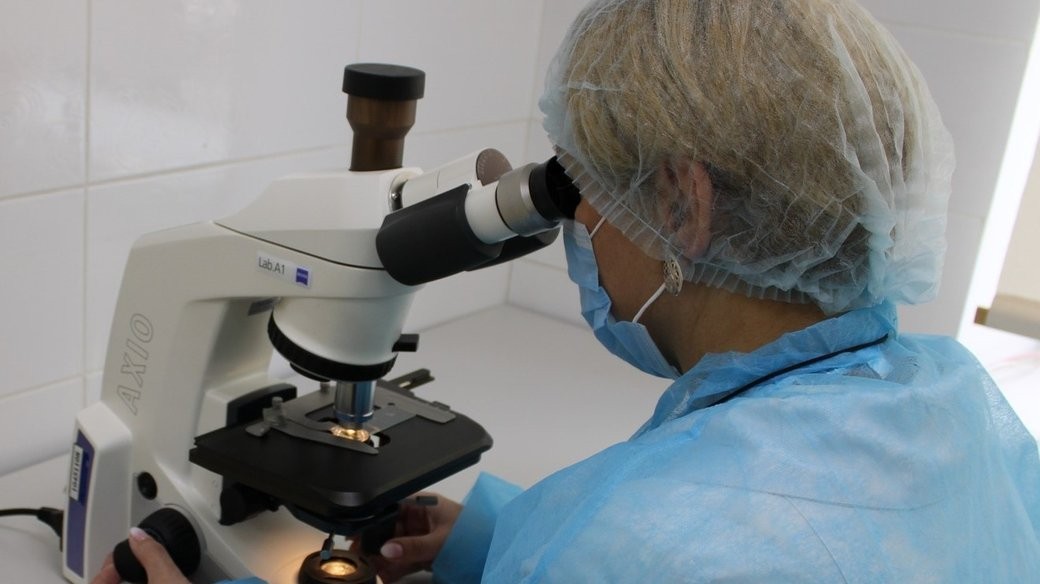 Дослідження кліщів