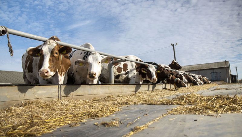 Українські аграрії проти ліквідації Міагрополітики