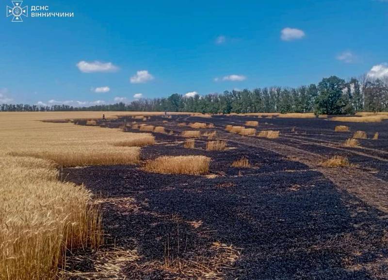 Пожежа на пшеничному полі у Бершадській громаді