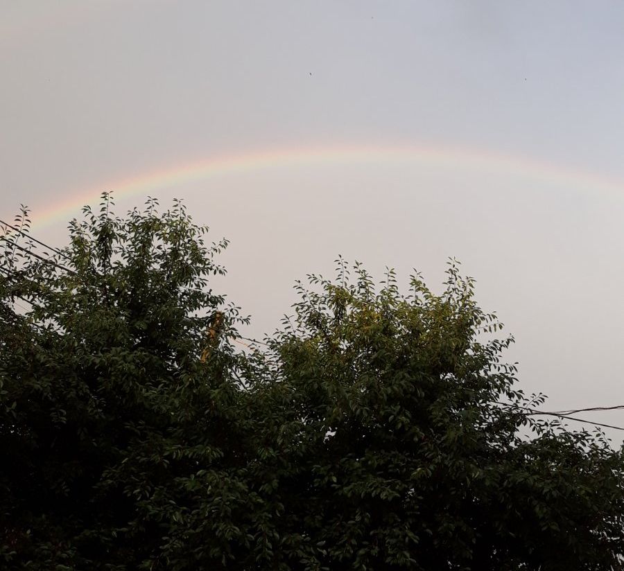 Подвійна веселка порадувала вінничан