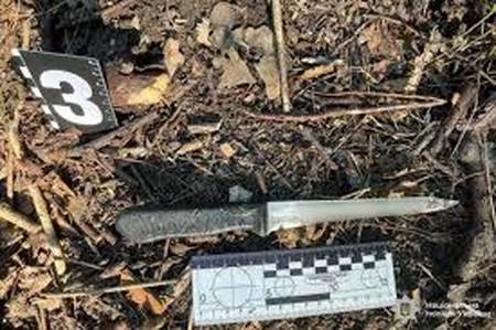 Жінка ледь не зарізала знайомого у лісосмузі біля Вінниці