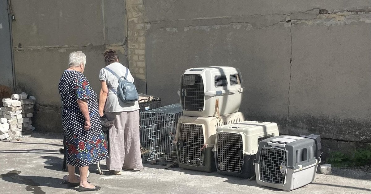 Чому на Вінниччині повстали проти переселенців?