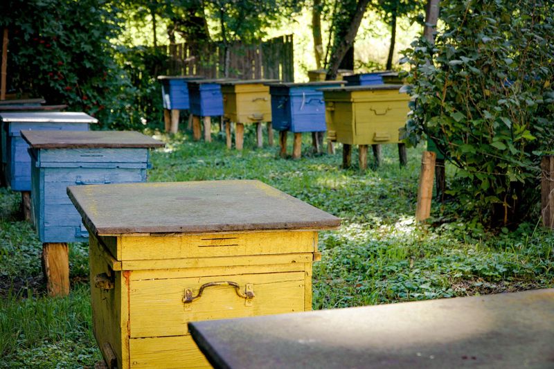 18 пасічників отримають фінансову підтримку від Вінницької міської ради