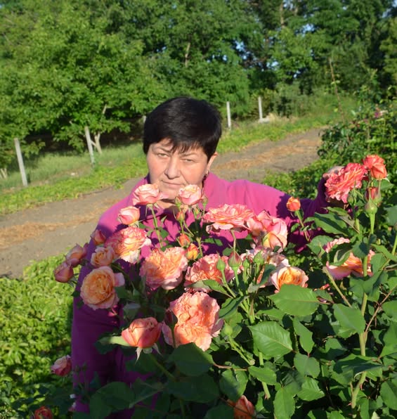 Як фермери з Вінниччини “пішли не по шаблону” і вийшли на європейський ринок
